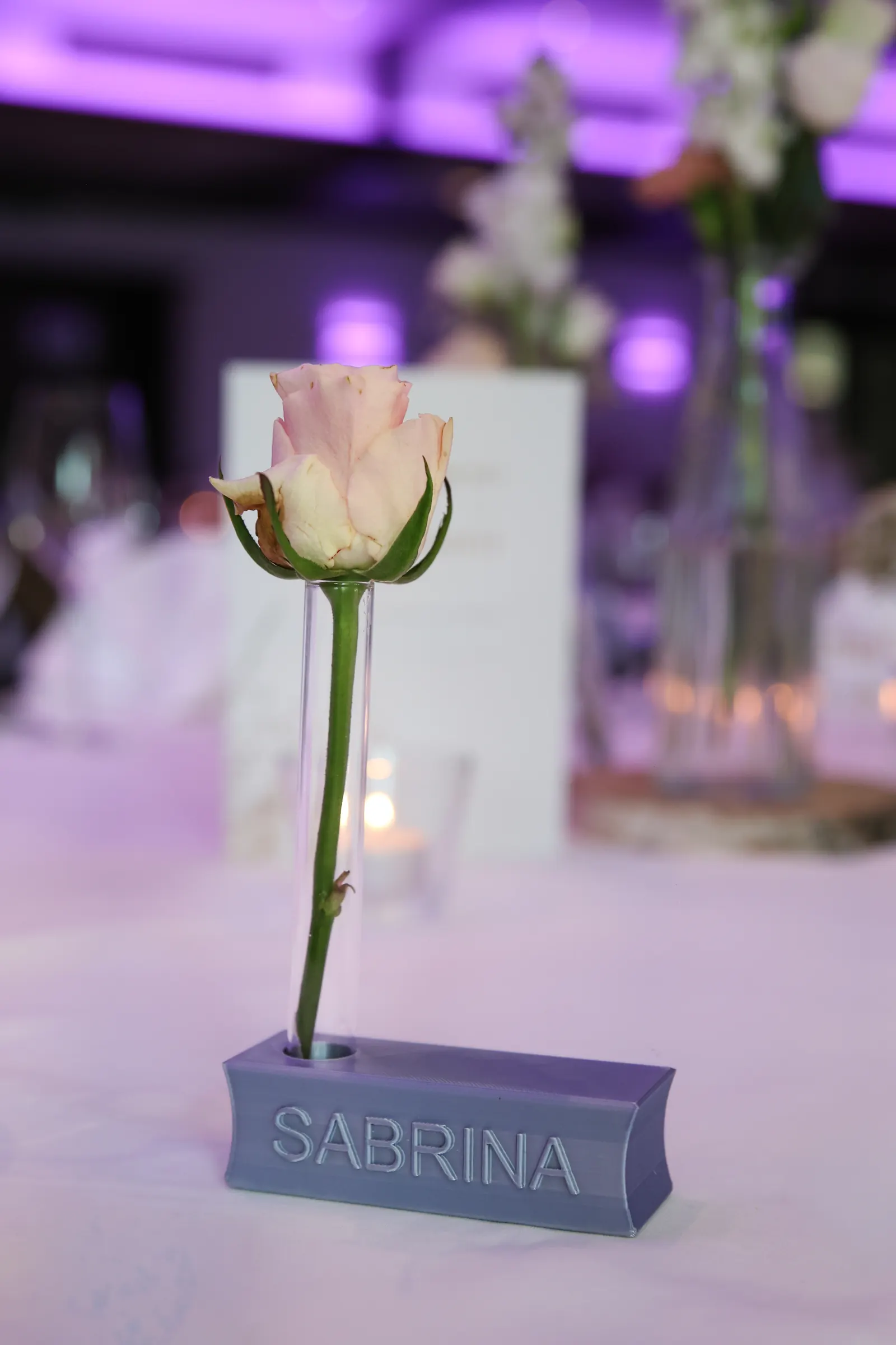 Nahaufnahme Tischschild mit Gästenamen und Reagenzglas-Rose